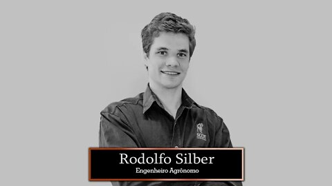 Boi gordo encerra semana com poucos negócios e preços estáveis