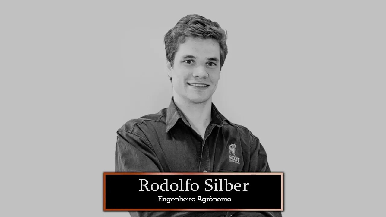 Boi gordo encerra semana com poucos negócios e preços estáveis