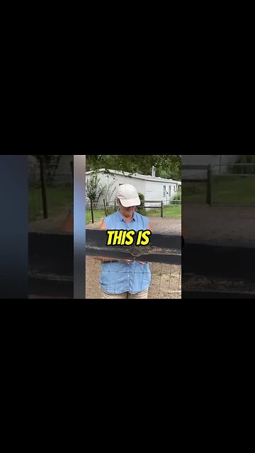 Proving the Length of Property Line Modifications Before Moving a Fence #crazykarens #groovy