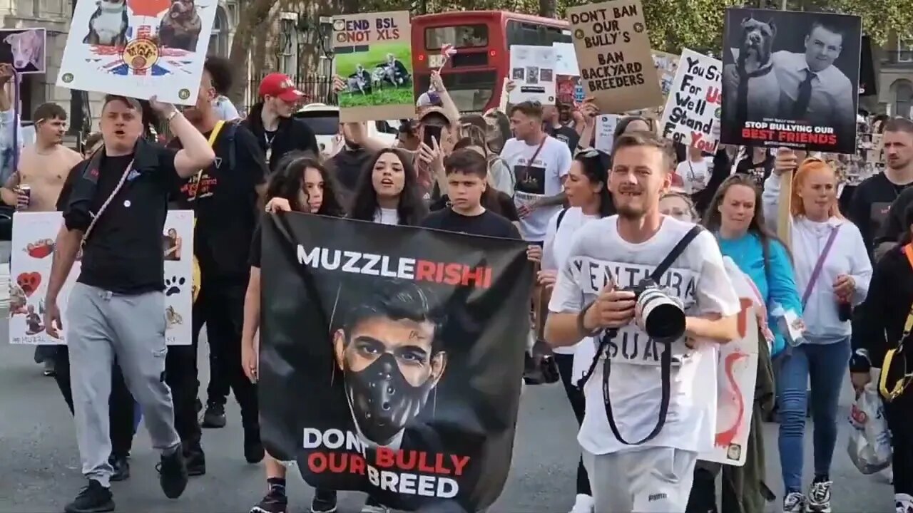 Save our xl Bully dogs protest #horseguardsparade