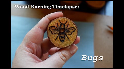 Wood-Burning Timelapse- Bugs