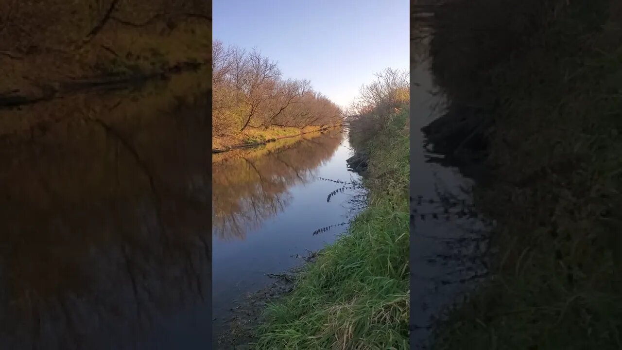 calm November river