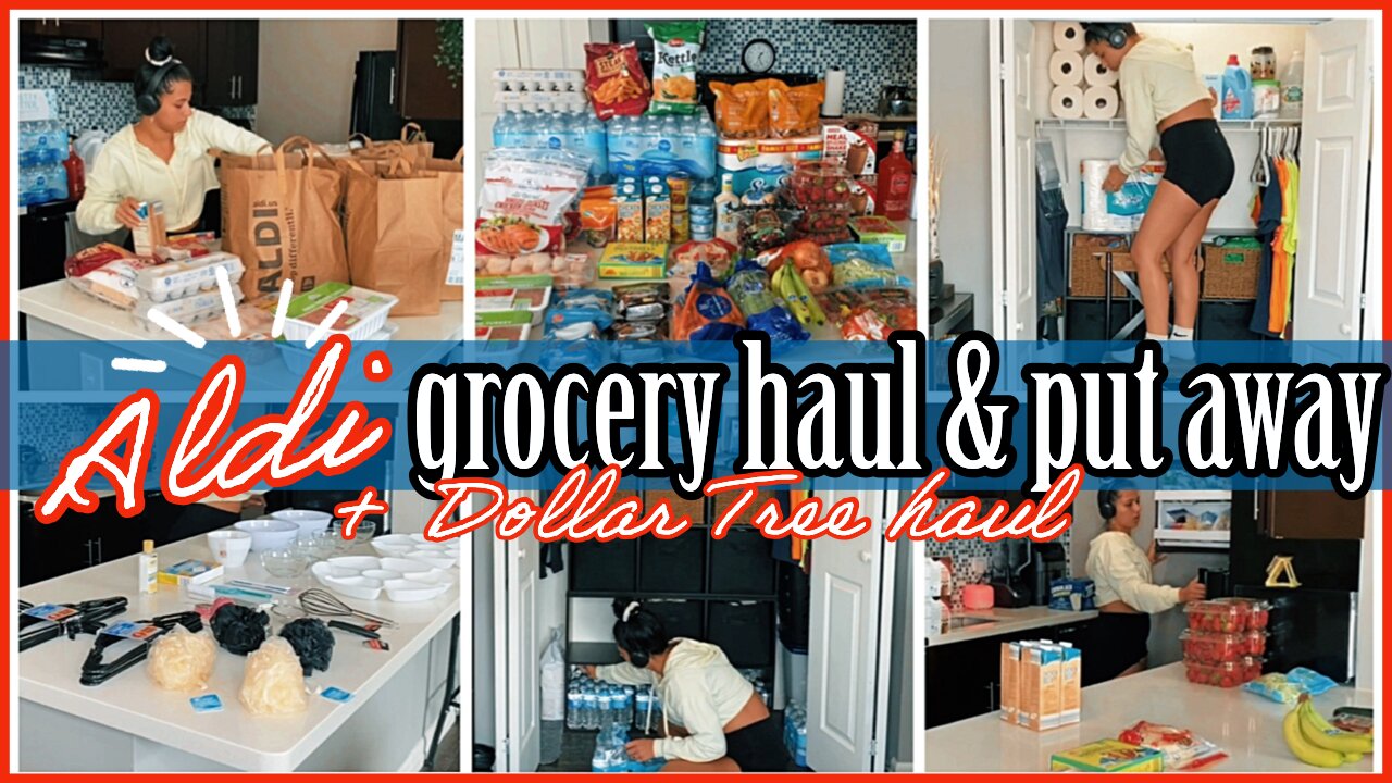 *NEW* SUMMER ALDI GROCERY HAUL & PUT AWAY WITH ME 2022 | DOLLAR TREE HAUL | ORGANIZATION | ez tingz