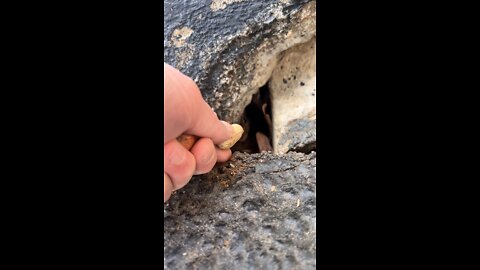 look who I find living here in my house