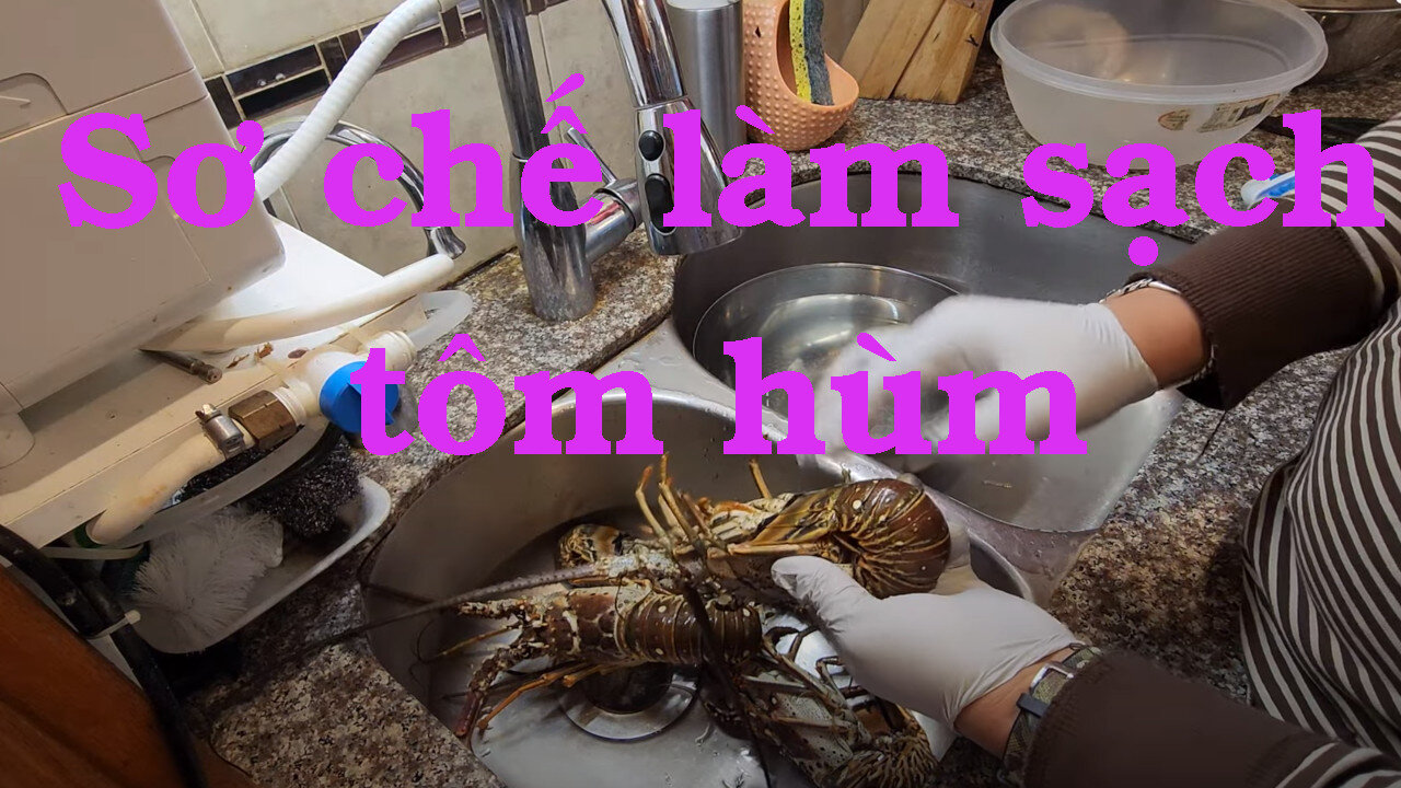 Cách Sơ Chế Làm Sạch Tôm Hùm Lobster