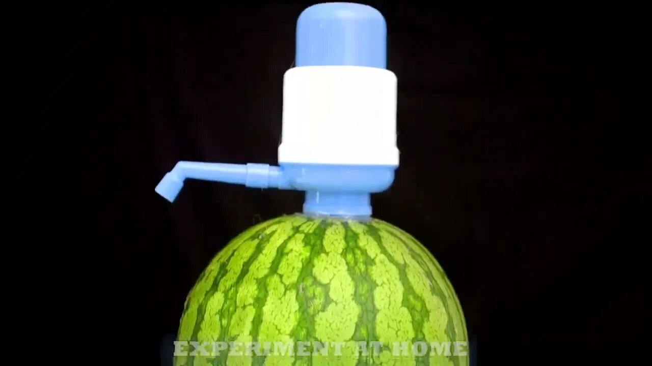 10 Amazing Watermelon LifeHacks!!