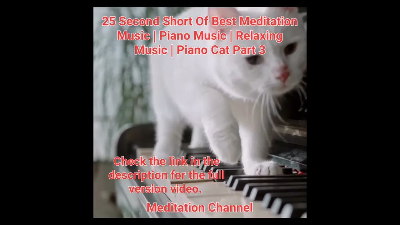 25 Second Short Of Best Meditation Music | Piano Music | Relaxing Music | Piano Cat Part 3 #shorts