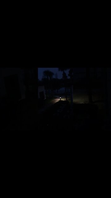 The Constant Roar of Humanity” - no wonder why people go 🥜