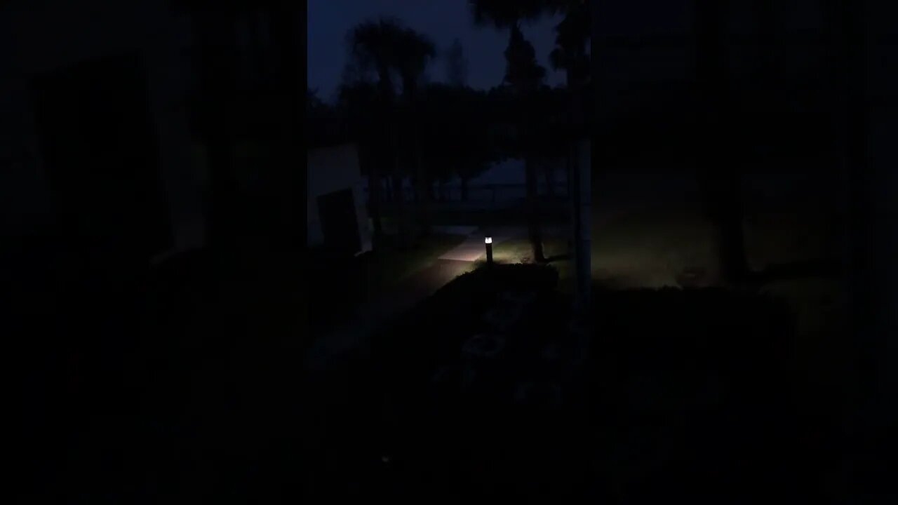 The Constant Roar of Humanity” - no wonder why people go 🥜