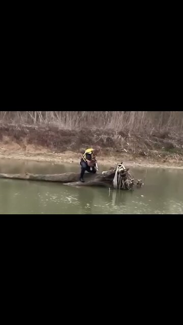 Firefighter Rescues Dog Stranded On Fallen Tree