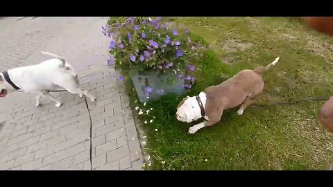 Famke en Winnie in bakhuizen