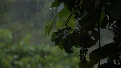 20 minutes, sounds of rain for relaxation