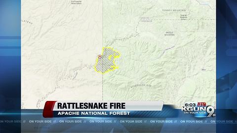 Cooler temps to come as crews fight eastern Arizona wildfire