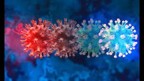 Experts Raise Alarm Over New Most Evolved Covid Variant Ever