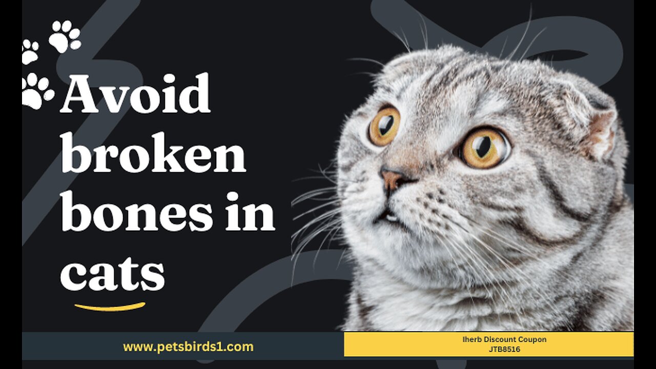 Cat broken bones | Recovery from cat bone fractures #pets_birds