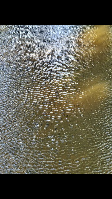 Creek Ripples