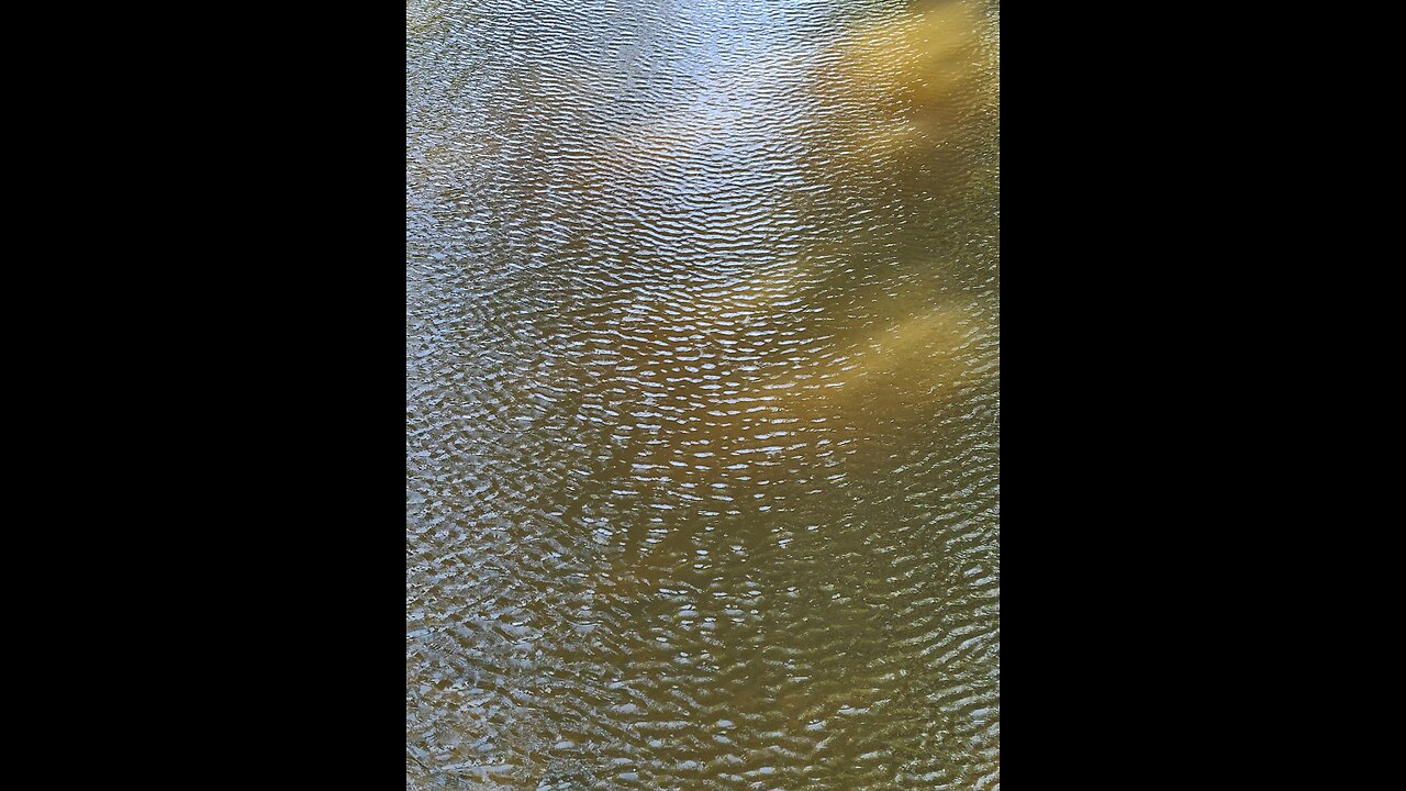 Creek Ripples