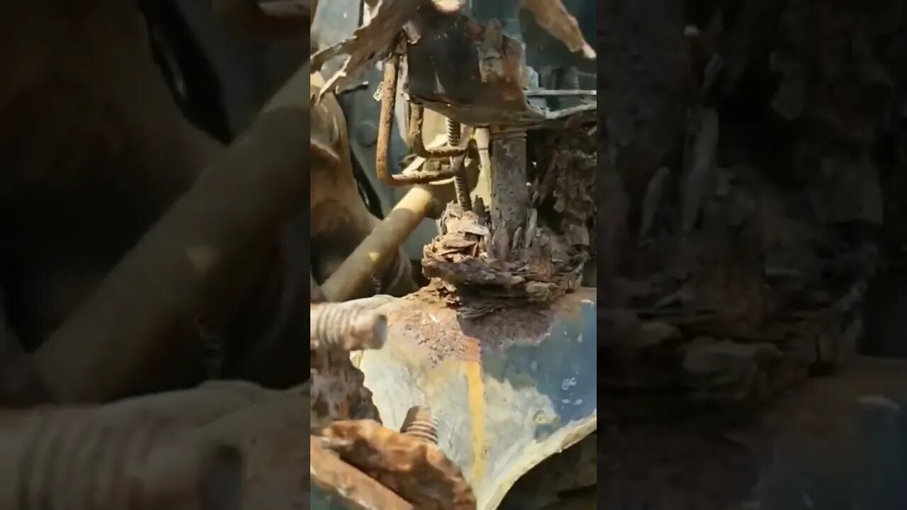 Fox Body Returns to the Earth