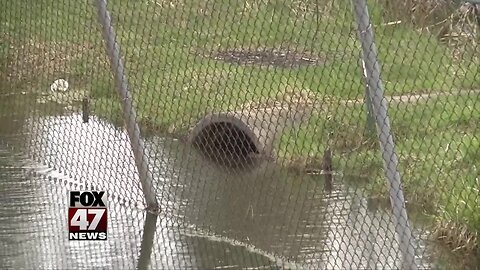 Jackson community members to ask council for help after homes near park suffer flood damage