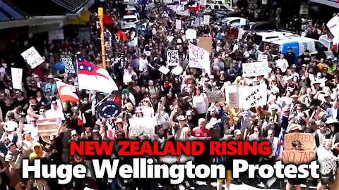 GIANT Anti Vaccine Mandate Protest For Medical Freedom In Wellington: New Zealand Rising!