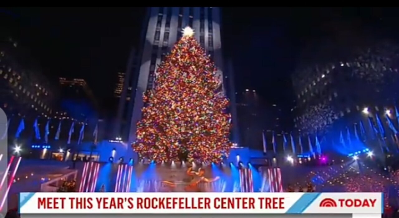 Meet the 2021 Rockefeller center Christmas tree 🎄