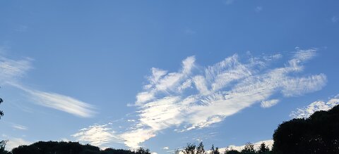 20.8. - 30.8.2024: White trails, weird clouds, halo color, sun halo?