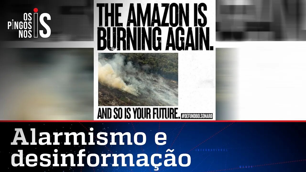 ONGs ambientalistas lançam campanha contra o Brasil