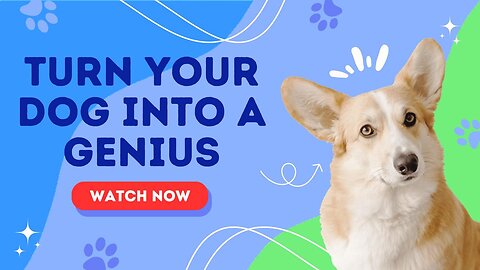 Turn Your Dog into a Genius