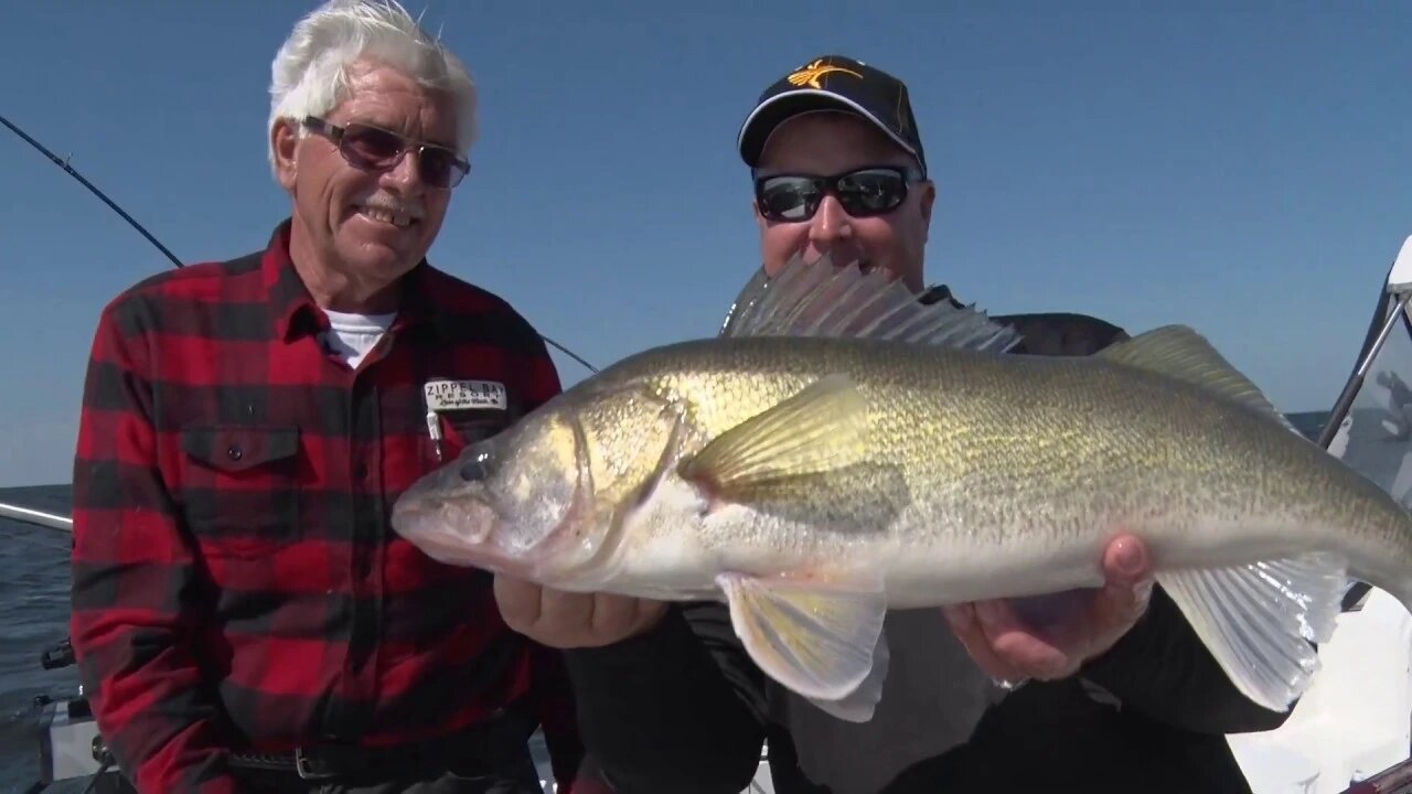 Downrigger Action on Lake of the Woods