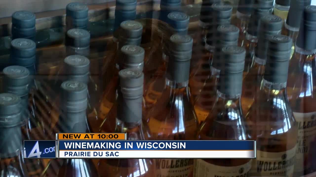 Wisconsin winemakers see impact from polar vortex