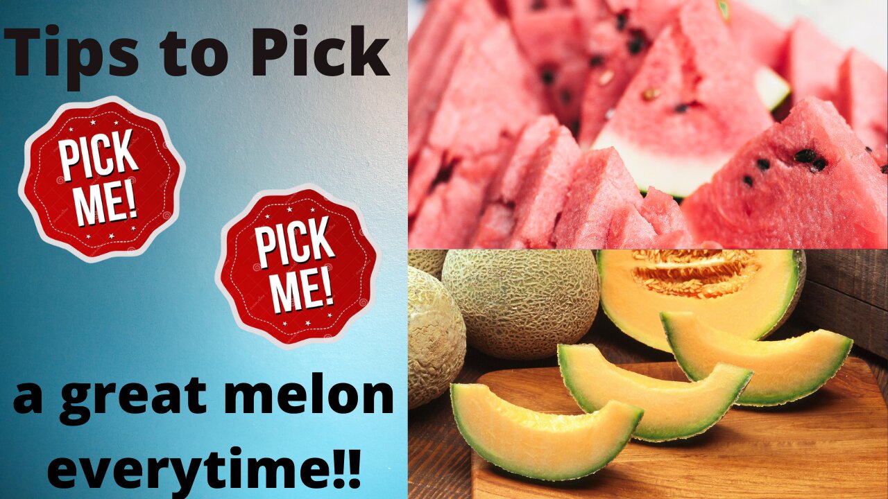 Tips to pick a great melon everytime!!