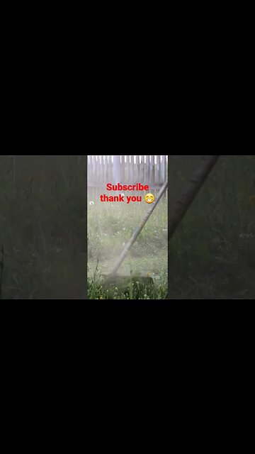 Trimmer time, Cant cut this #shorts