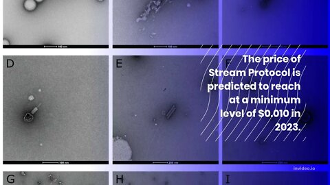 Stream Protocol Price Prediction 2022, 2025, 2030 STPL Price Forecast Cryptocurrency Price Predict