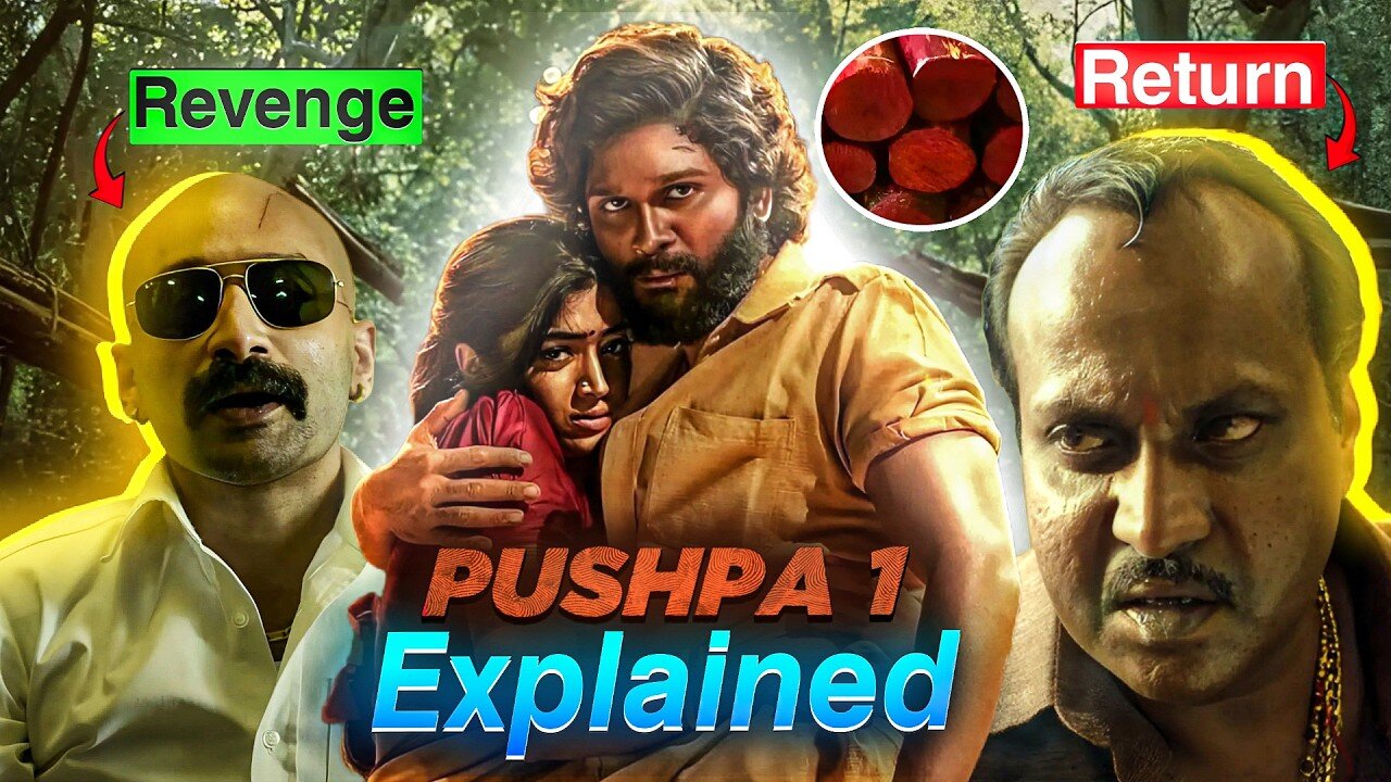 Pushpa 2 से पहले ये ज़रूर देखिए | Pushpa 1 Movie Explained | Pushpa The Rise (2021) Movie