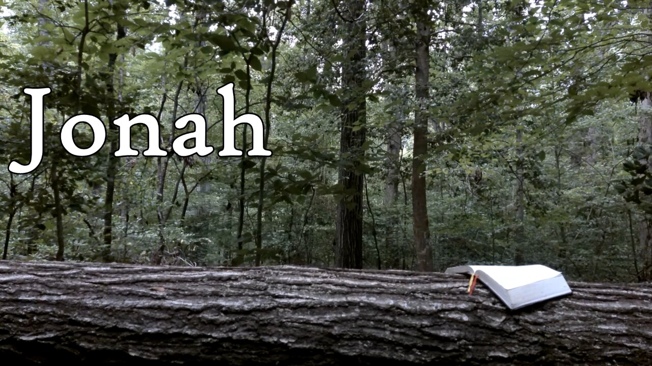 Jonah | The Holy Bible | Old Testament 32/39