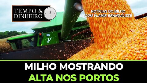 Milho mostrando alta nos portos