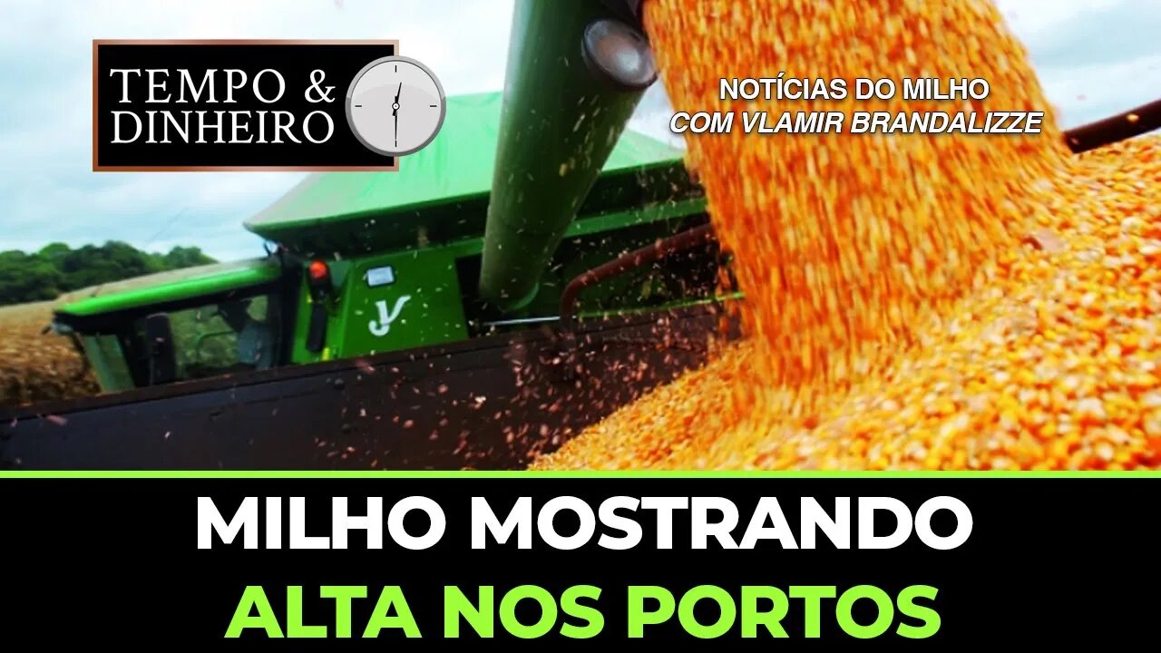 Milho mostrando alta nos portos