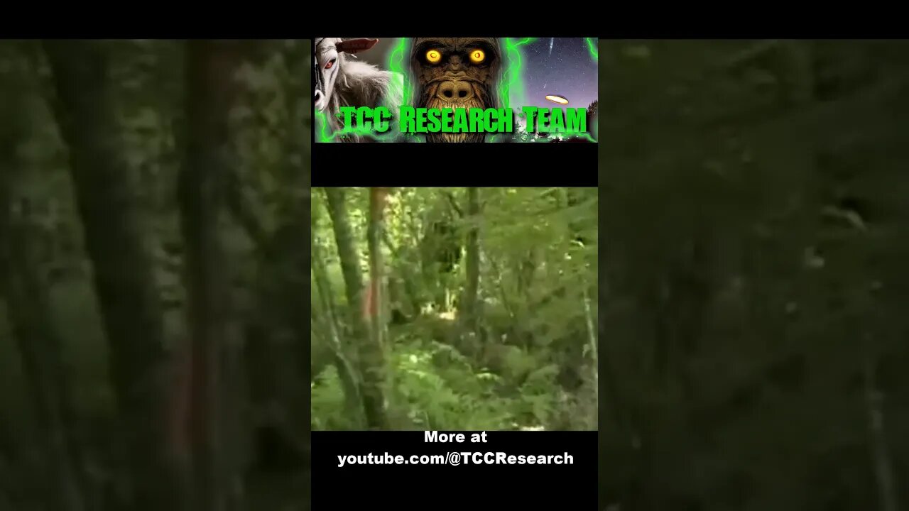 Bigfoot sighting Filmed | Slowed