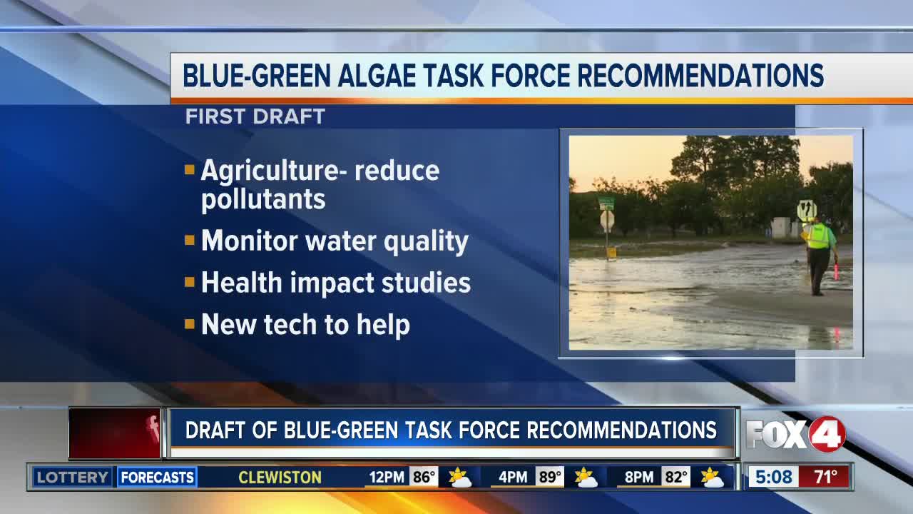 Blue Green Algae Task Force recommendations