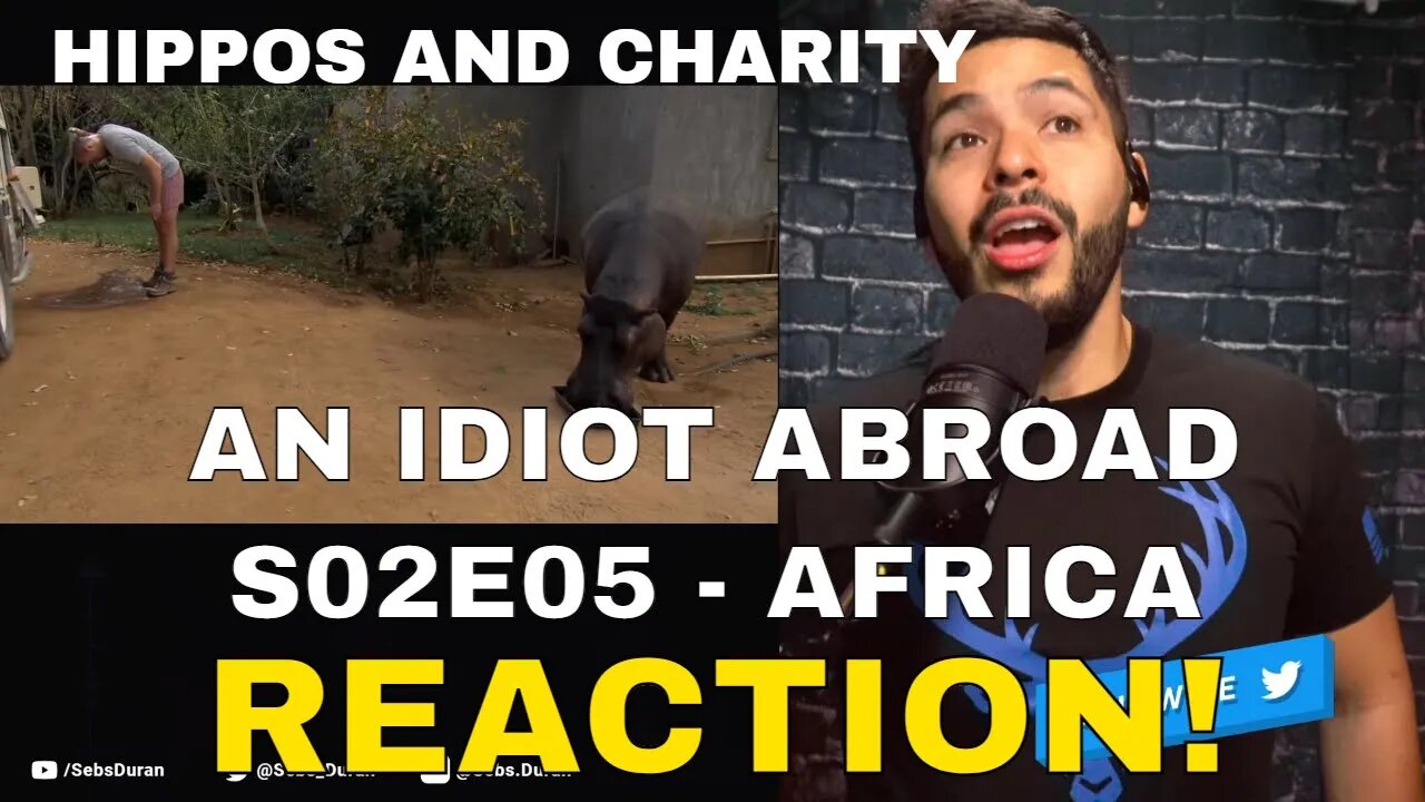 An Idiot Abroad S02E05 South Africa | Meeting a pet hippo, rants on charity Reaction pt 1