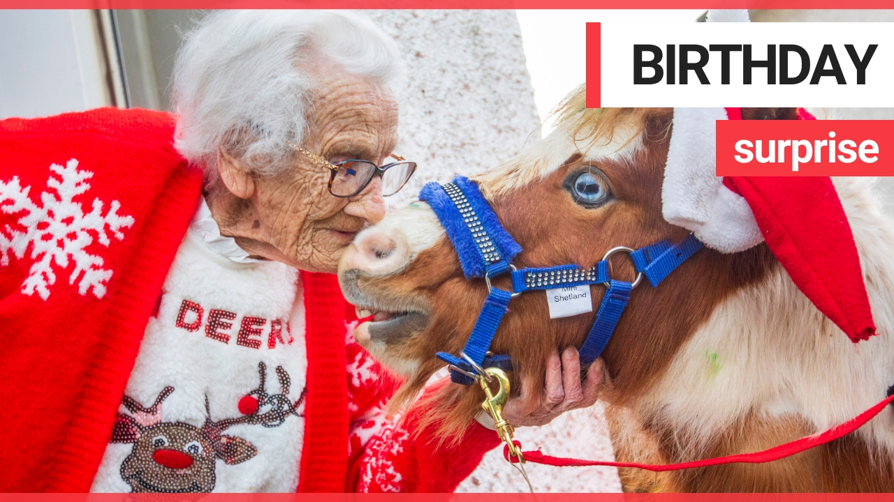 Miniature horses dressed as Santa surprise 95-year-old on her birthday