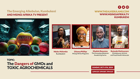 GMOs, Toxic Agrochemicals and Human Health. A Conversation with Rutendo Matinyarare