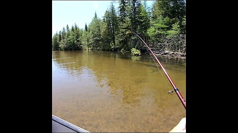 A little trout fishing