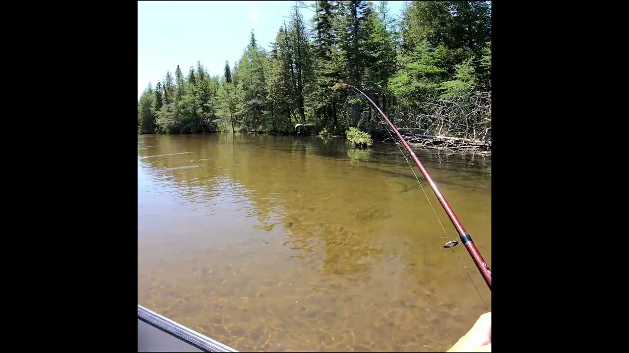 A little trout fishing
