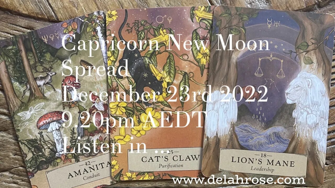 Guided by the Signs - Capricorn New Moon Reading- December 23rd 2022