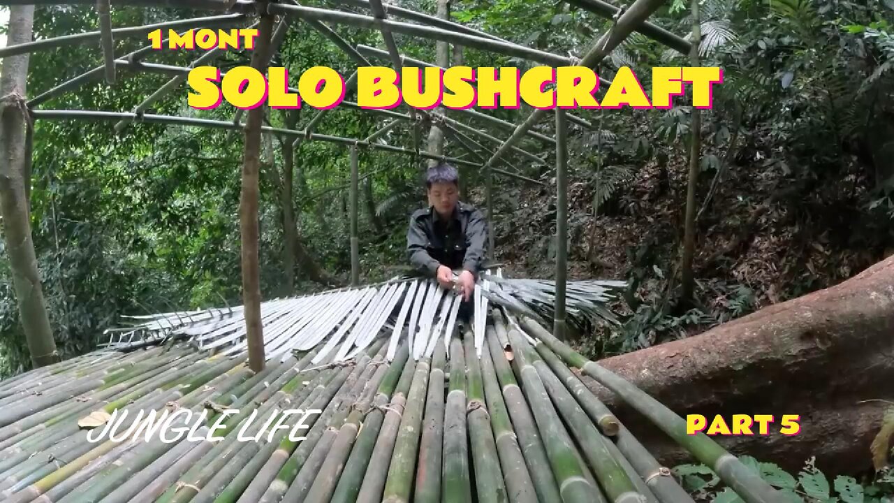 1 Month Solo Bushcraft. Build a box-shaped house on a tree. Survive in the Wild. PART 5