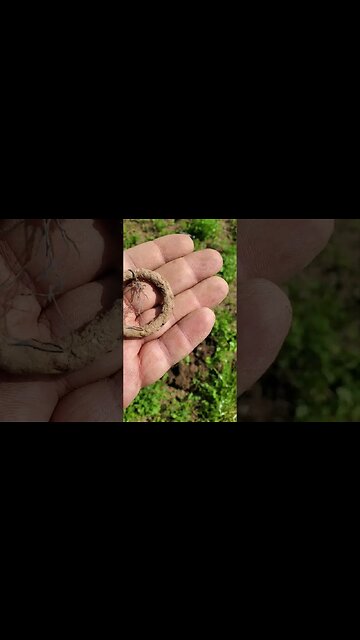 horse tack maybe #metaldetecting #short