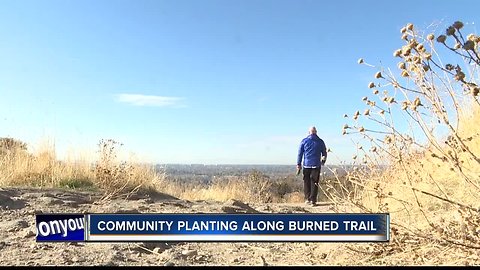 "The biggest ever" planting day at Table Rock