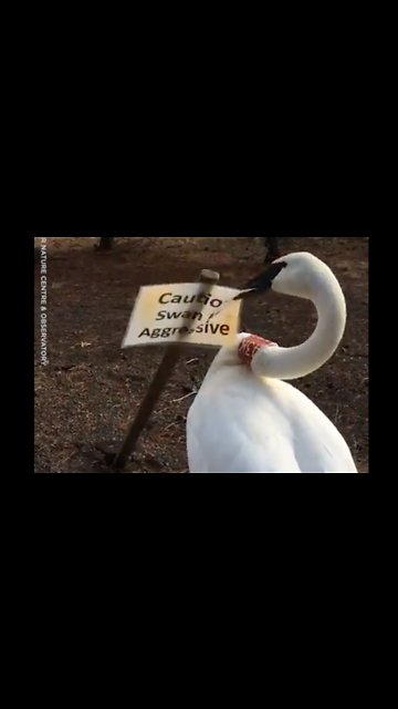 There has never been a more accurate sign