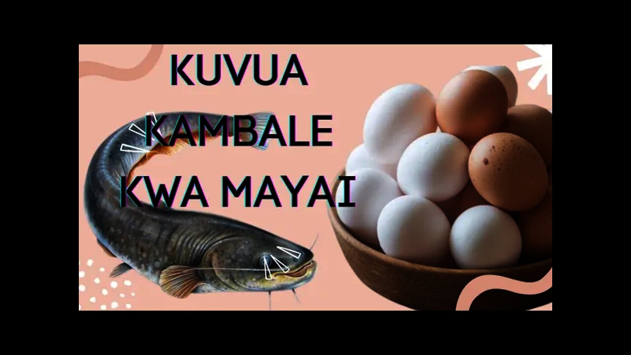 Jinsi ya kuvua KAMBARE kwa kutumia MAYAI